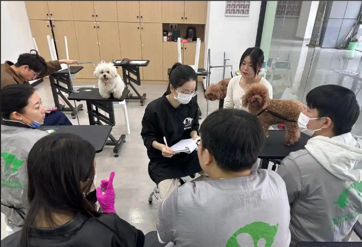盘锦市宠物美容师宠物美容培训学校 - 哪里好